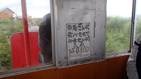 人参、１本１００円